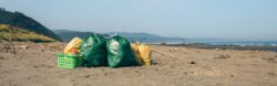 Image: Plastic bags and utensils on the beach; Copyright: davidpereiras