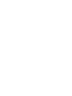 Icon Daten und Fakten